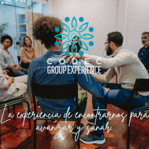 CODEC Group Experience